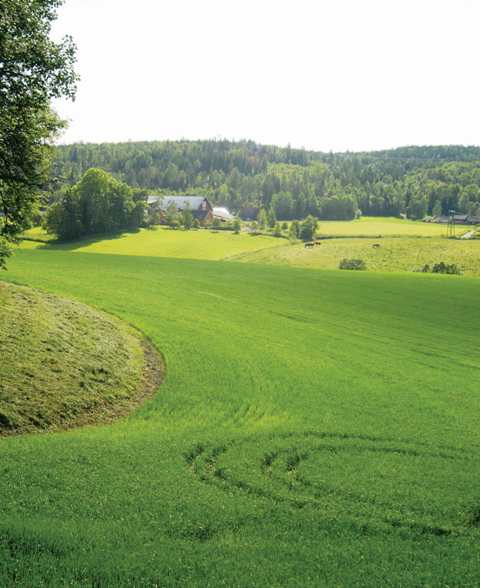 Fil:Hauger i Loerenskog hovedgaard1 LL076.jpg